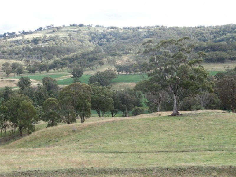 . ‘Kruivale’, Merriwa NSW 2329