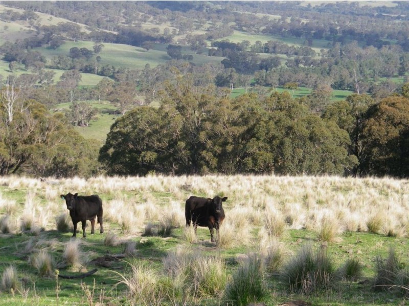 . ‘Kruivale’, Merriwa NSW 2329