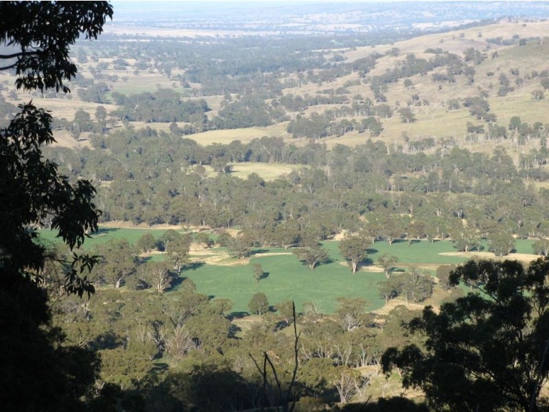 . ‘Kruivale’, Merriwa NSW 2329