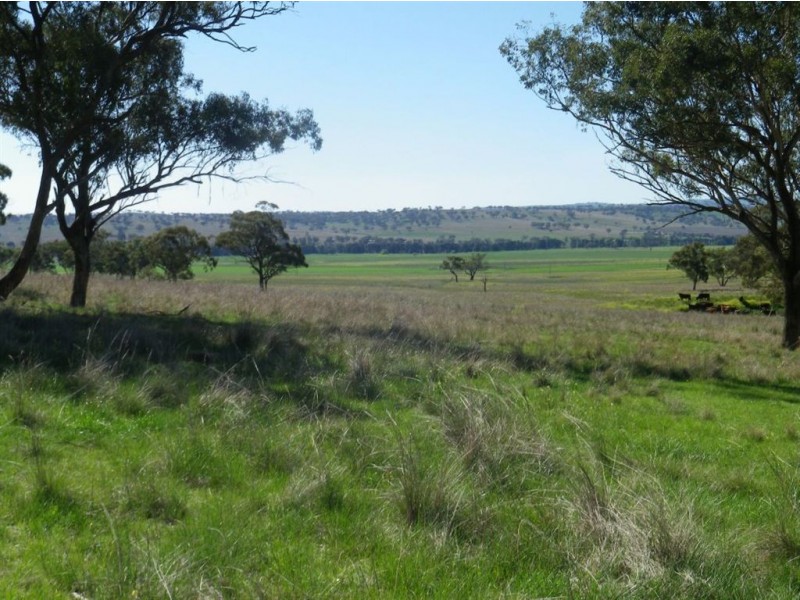 . Glenroy, Coolah NSW 2843