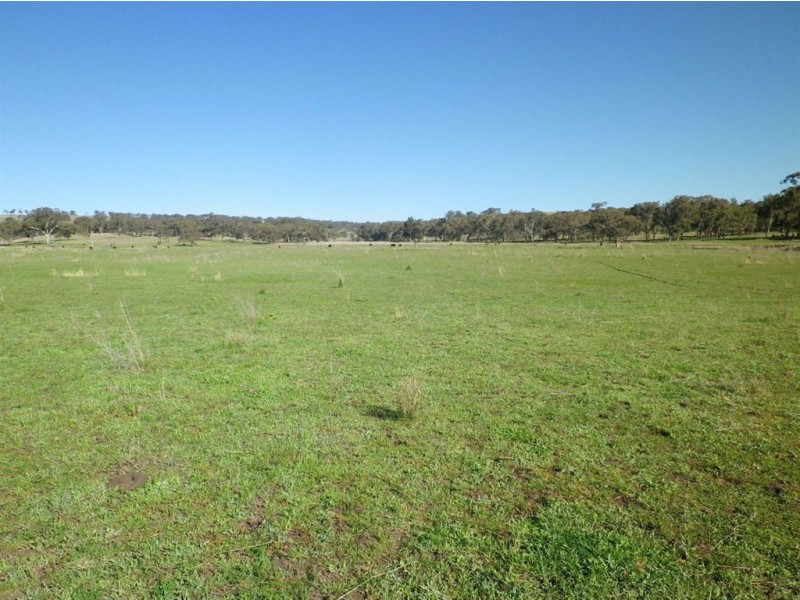 . Glenroy, Coolah NSW 2843