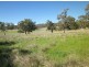 . Glenroy, Coolah NSW 2843