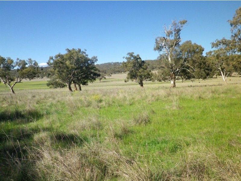 . Glenroy, Coolah NSW 2843