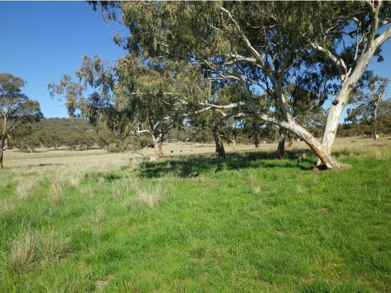 . Glenroy, Coolah NSW 2843