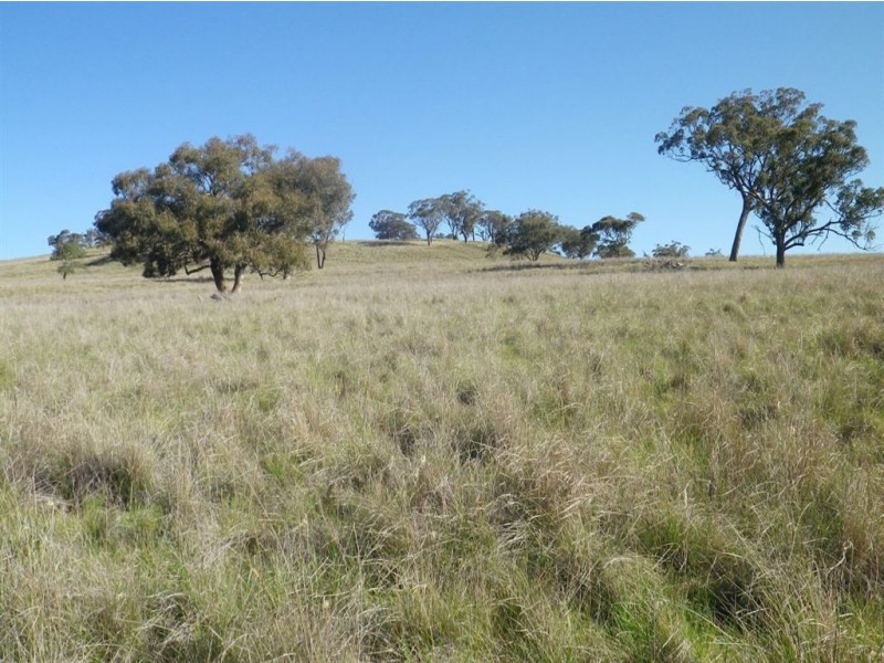 . Glenroy, Coolah NSW 2843