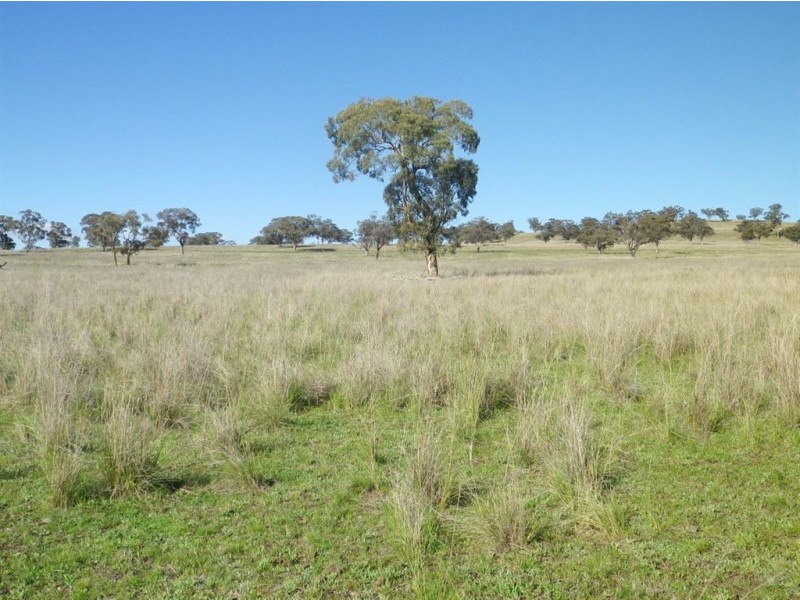 . Glenroy, Coolah NSW 2843