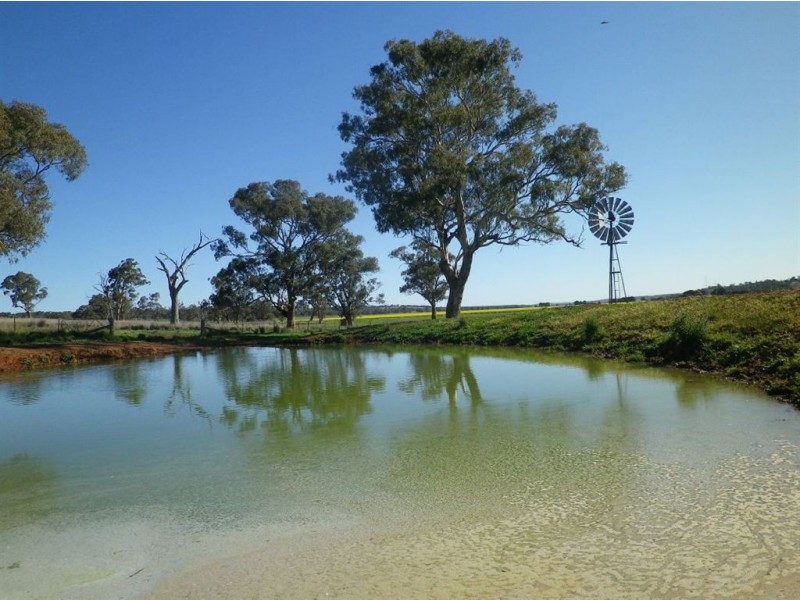 . Glenroy, Coolah NSW 2843