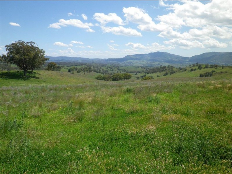 . Hillside, Scone NSW 2337