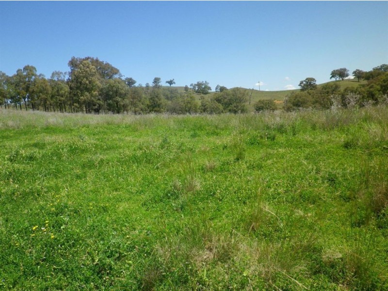 . Hillside, Scone NSW 2337