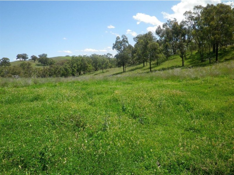 . Hillside, Scone NSW 2337