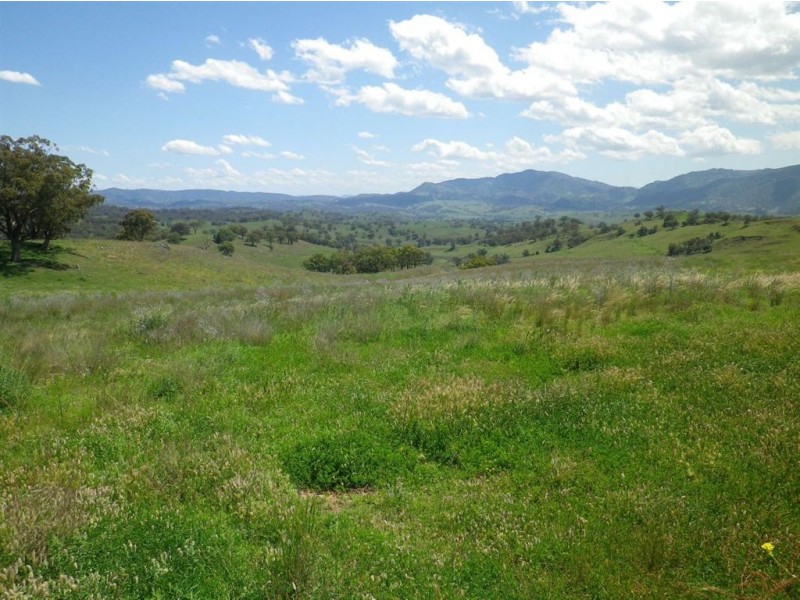 . Hillside, Scone NSW 2337