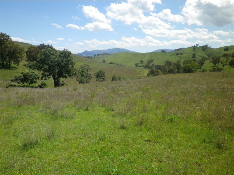 . Hillside, Scone NSW 2337