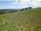 . Hillside, Scone NSW 2337
