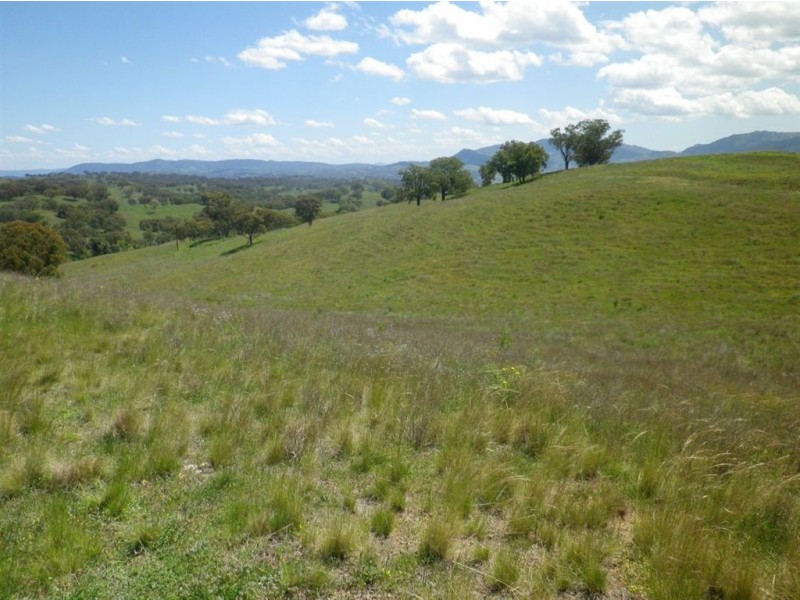 . Hillside, Scone NSW 2337
