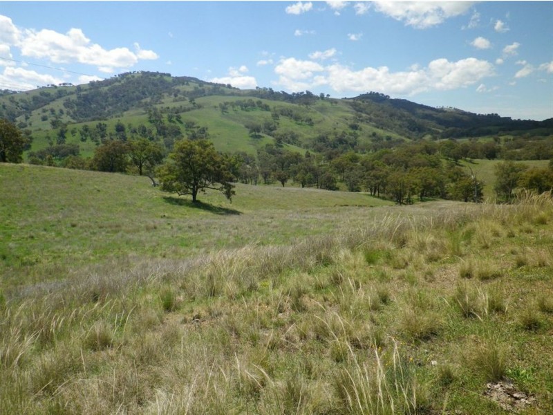 . Hillside, Scone NSW 2337