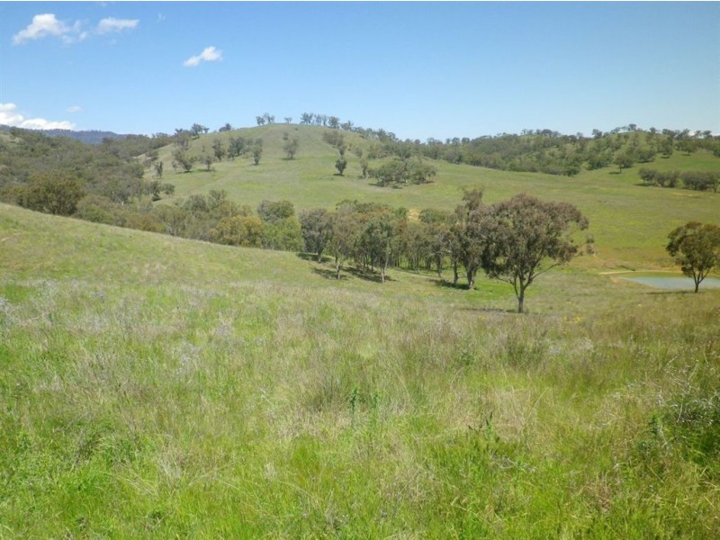 . Hillside, Scone NSW 2337