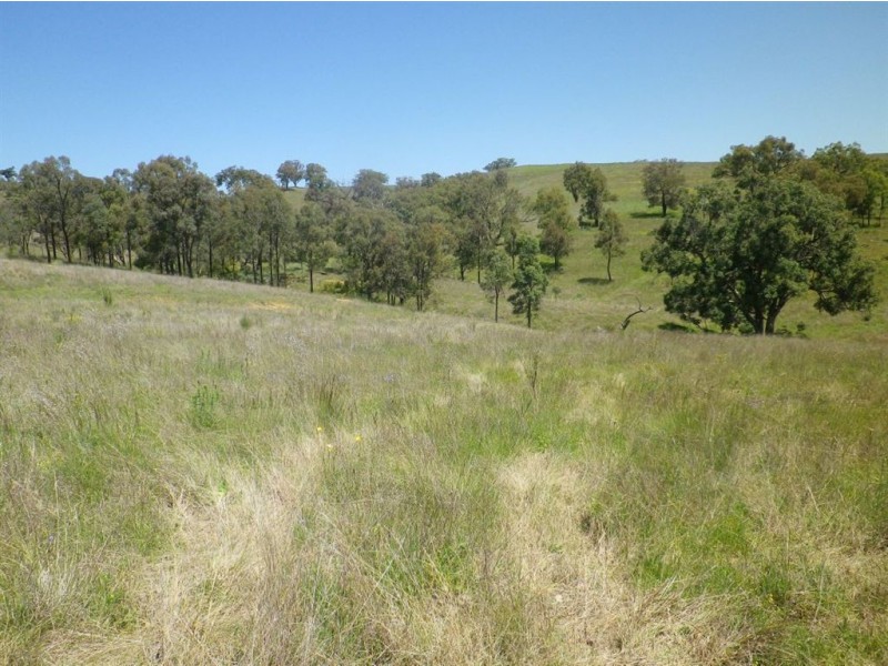 . Hillside, Scone NSW 2337