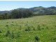 . Oxleys Creek, Merriwa NSW 2329