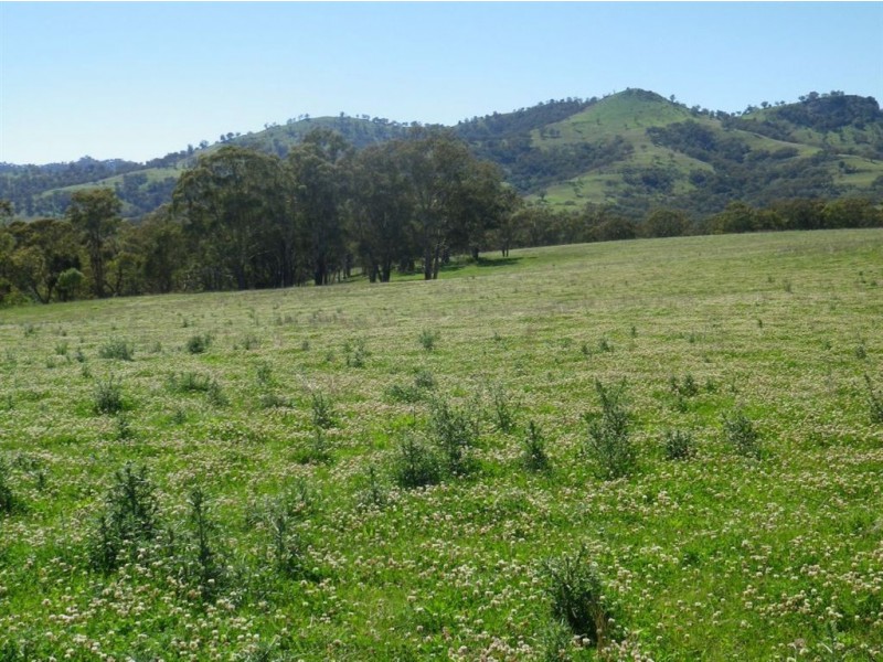 . Oxleys Creek, Merriwa NSW 2329