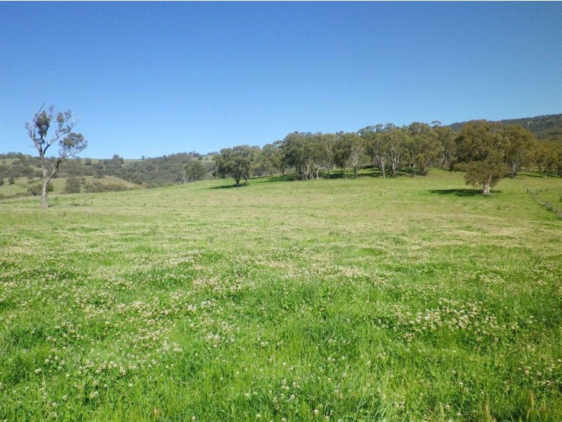 . Oxleys Creek, Merriwa NSW 2329