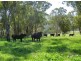 . Oxleys Creek, Merriwa NSW 2329
