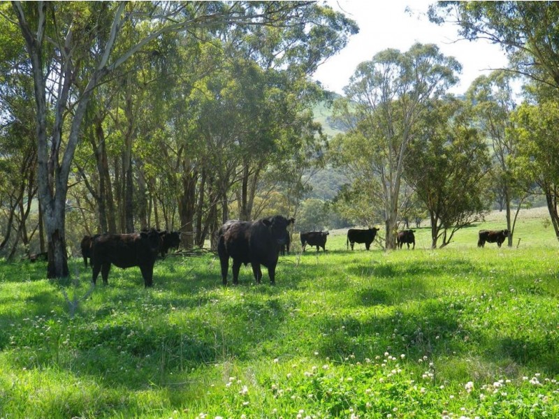 . Oxleys Creek, Merriwa NSW 2329
