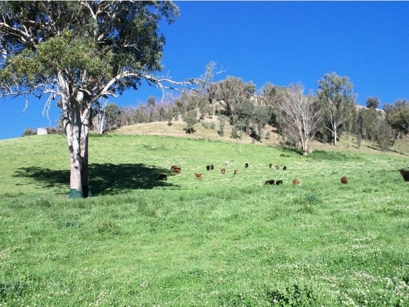 . ‘Mossvale’, Blandford NSW 2338