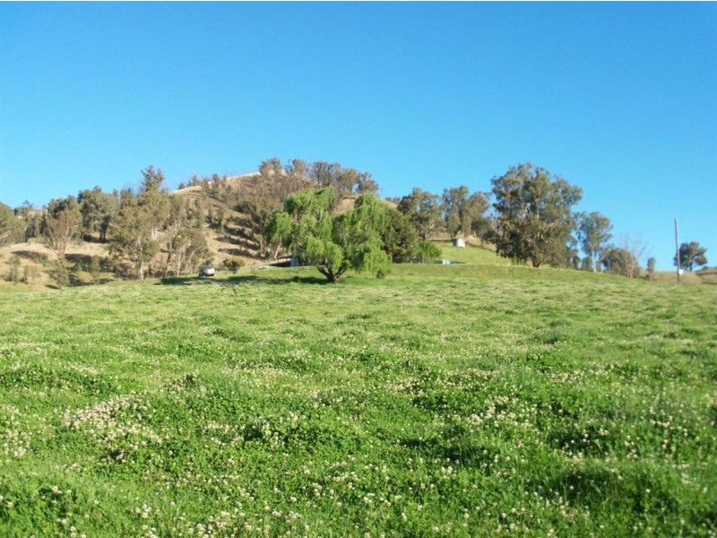 . ‘Mossvale’, Blandford NSW 2338