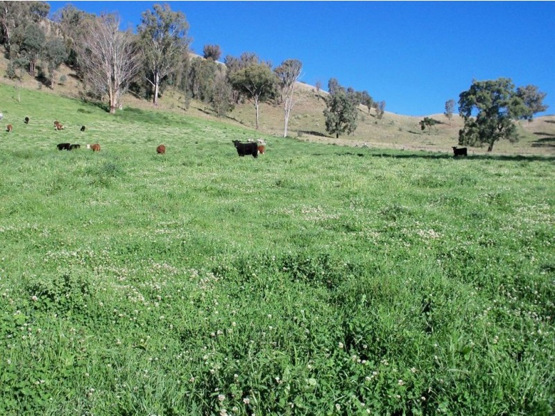 . ‘Mossvale’, Blandford NSW 2338