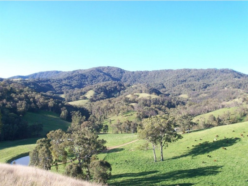 . ‘Mossvale’, Blandford NSW 2338