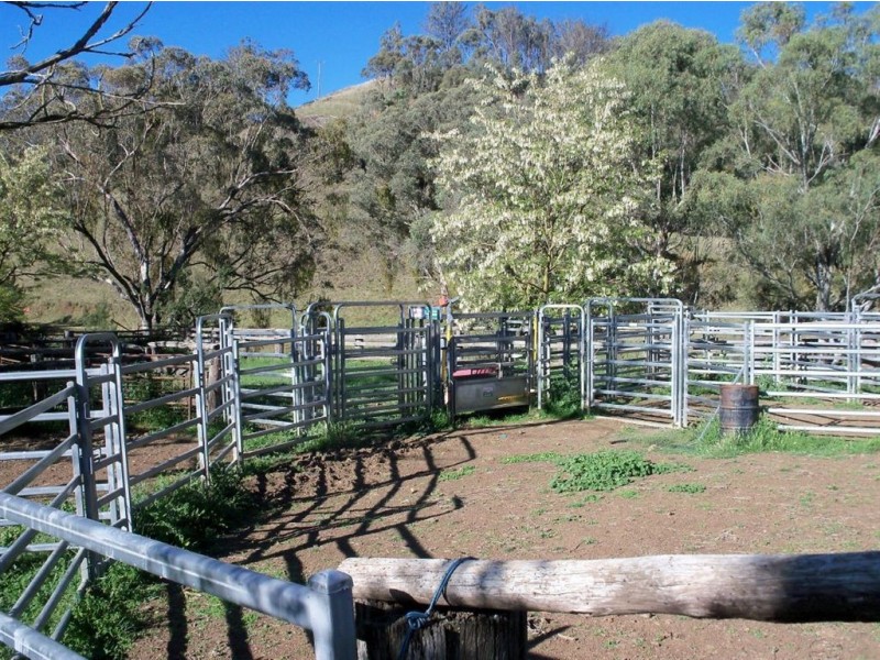 . ‘Mossvale’, Blandford NSW 2338