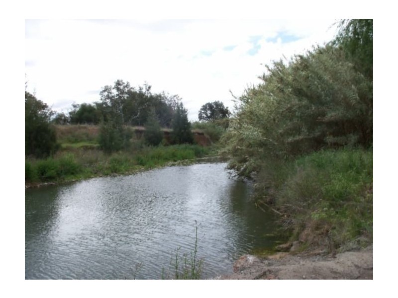 . Jersey Park, Quirindi NSW 2343