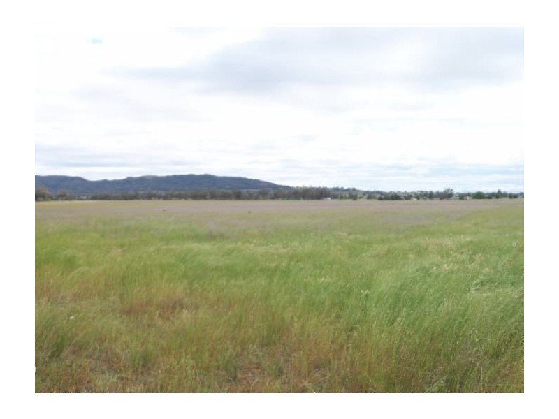 . Jersey Park, Quirindi NSW 2343