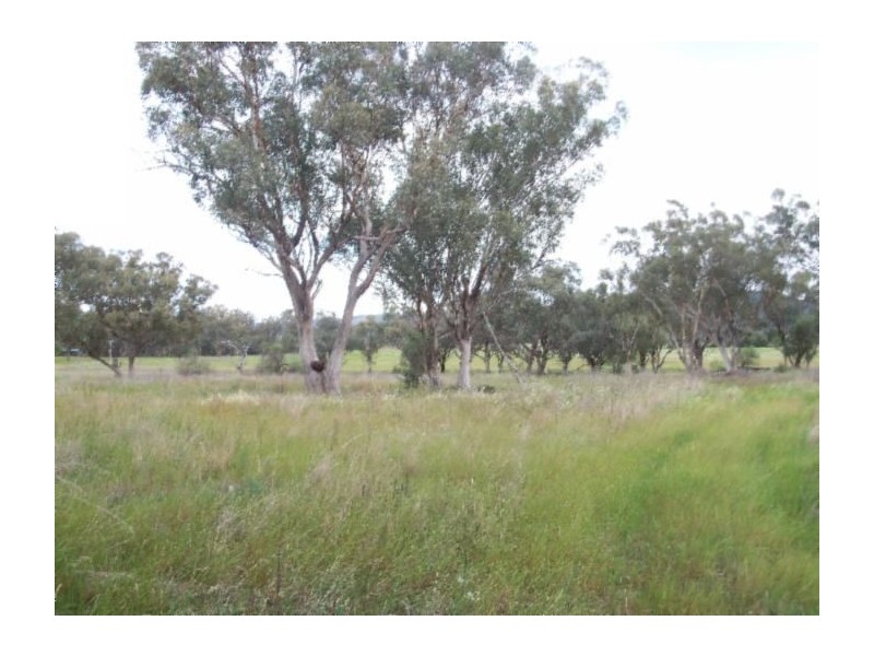 . Jersey Park, Quirindi NSW 2343