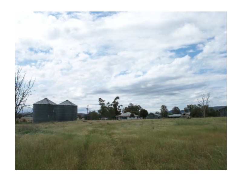 . Jersey Park, Quirindi NSW 2343