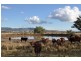 . Brewongle, Quirindi NSW 2343