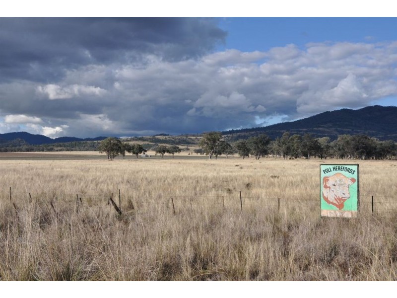 . Brewongle, Quirindi NSW 2343