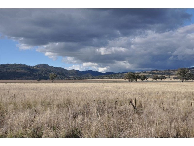 . Brewongle, Quirindi NSW 2343