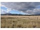 . Brewongle, Quirindi NSW 2343