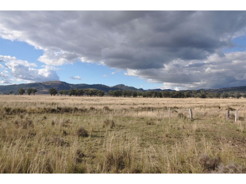 . Brewongle, Quirindi NSW 2343