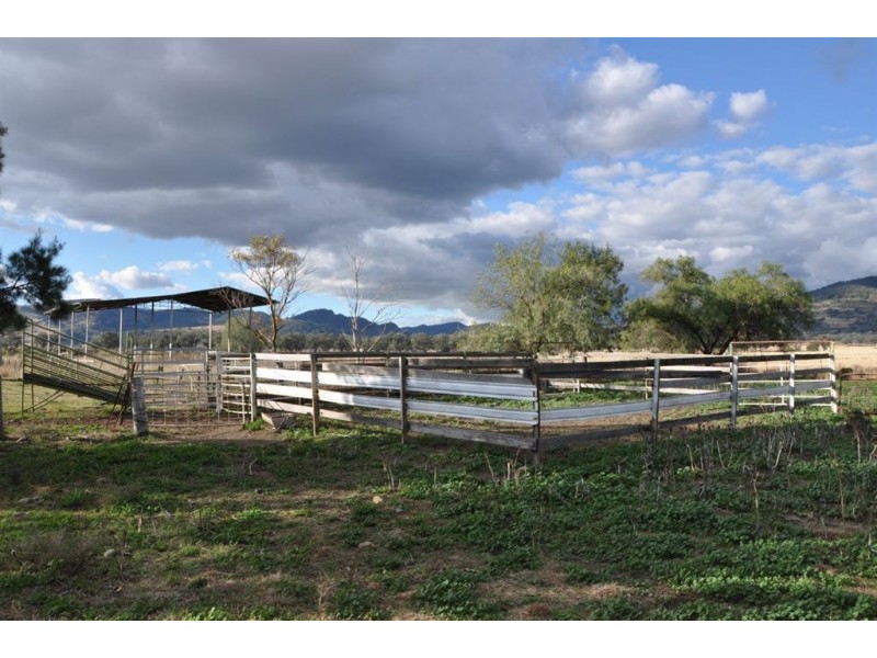 . Brewongle, Quirindi NSW 2343