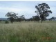 . Warragoon, Merriwa NSW 2329