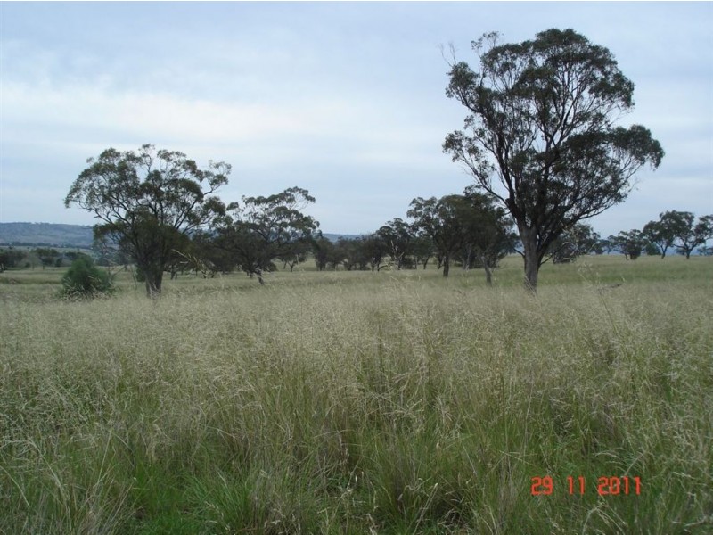 . Warragoon, Merriwa NSW 2329