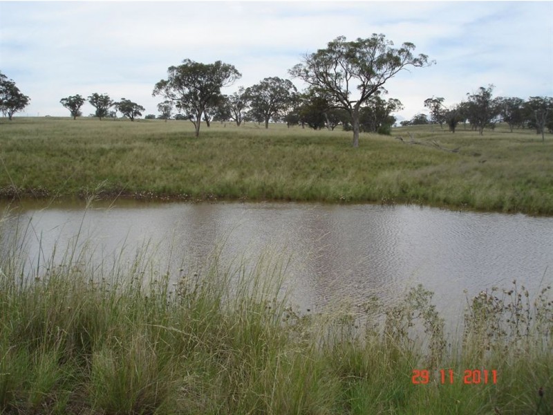 . Warragoon, Merriwa NSW 2329