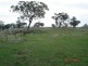 . Warragoon, Merriwa NSW 2329