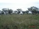. Warragoon, Merriwa NSW 2329