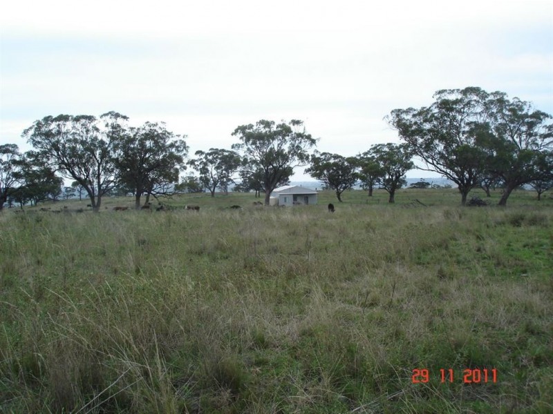. Warragoon, Merriwa NSW 2329