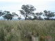 . Warragoon, Merriwa NSW 2329
