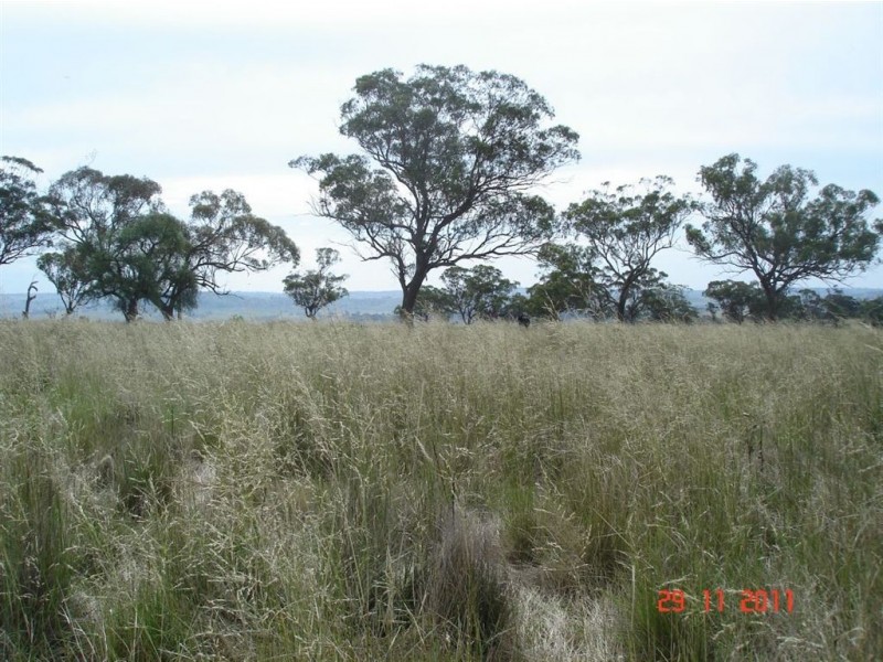 . Warragoon, Merriwa NSW 2329