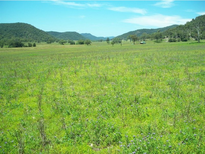 . Google Rock, Sandy Hollow NSW 2333